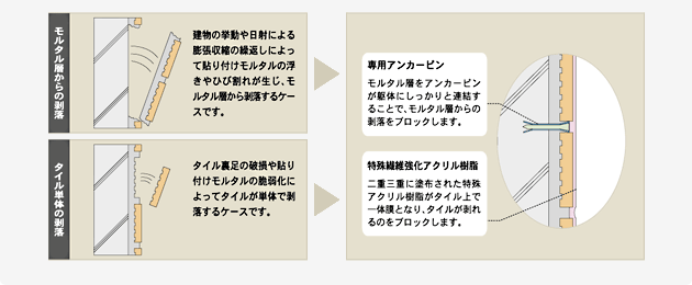 構成と剥落防止のメカニズム